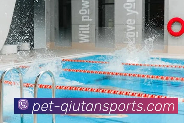 球探体育团队APP 封面图